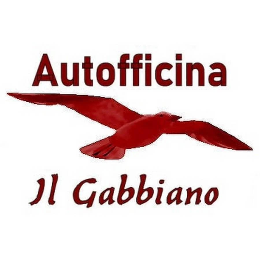il gabbiano